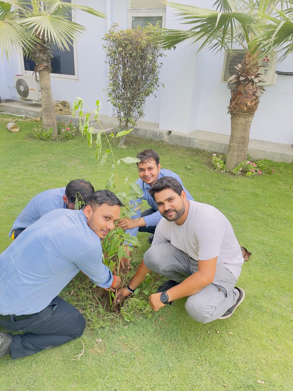 Close-up of Triveni team members planting a sapling on Environment Day